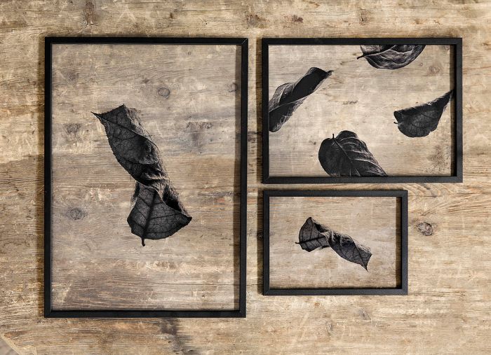 新世纪绿叶美学_thefemin-floating-leaves-15
