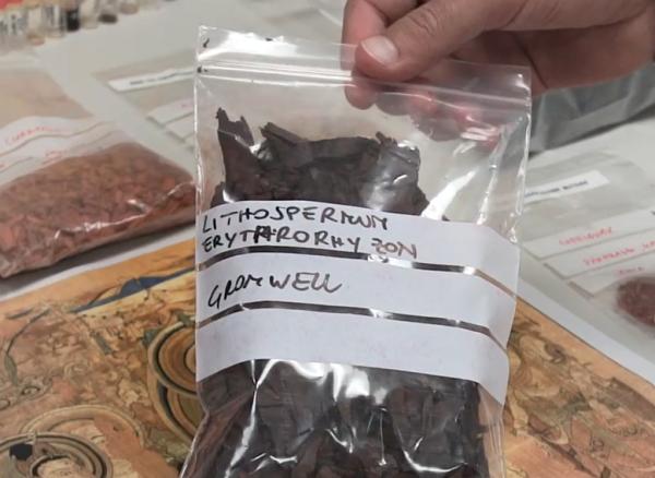 容颜再现！敦煌巨作修复工作即将告竣_739