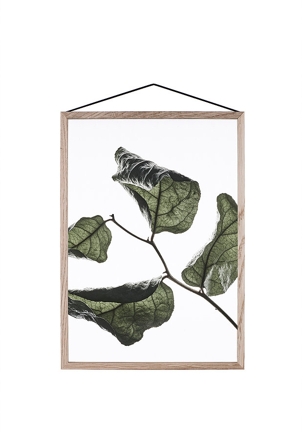 新世纪绿叶美学_thefemin-floating-leaves-12
