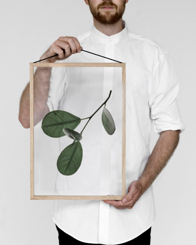 新世纪绿叶美学_thefemin-floating-leaves-09-650x811