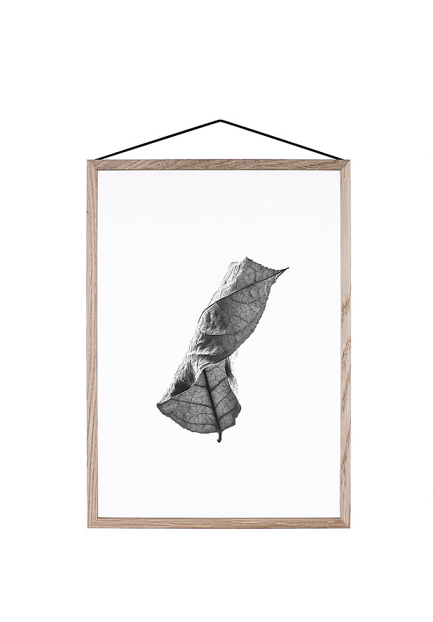 新世纪绿叶美学_thefemin-floating-leaves-05