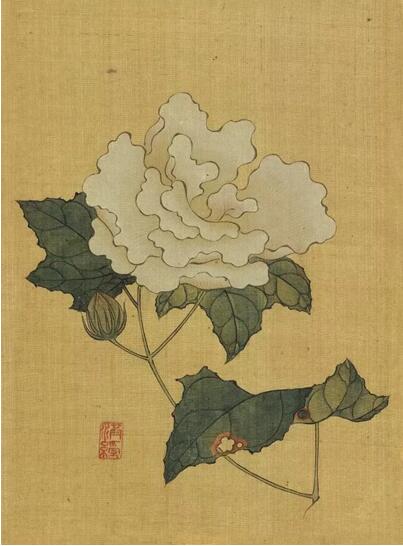 少而妙 壮而神：陈洪绶的《花鸟草虫册》_11