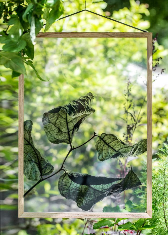 新世纪绿叶美学_thefemin-floating-leaves-07