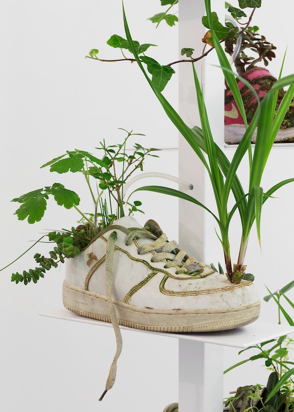 才在威尼斯展出的作品 已现身巴塞尔艺博会售卖