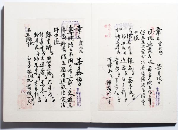 400多张老处方笺 领略海上杏林名宿的笔走龙蛇