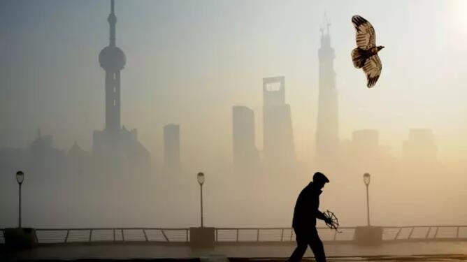 中国当代艺术中心会是上海吗？(1)