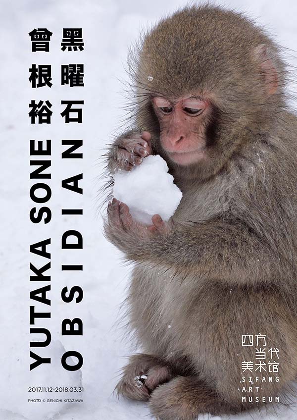 三展齐发 尽览艺术的思考与传承
