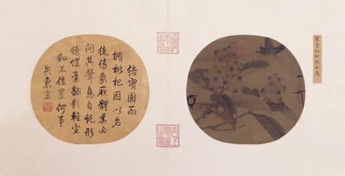 一级藏品首现杭城 仅展13天后要休眠3年(宋徽宗《枇杷山鸟图》)