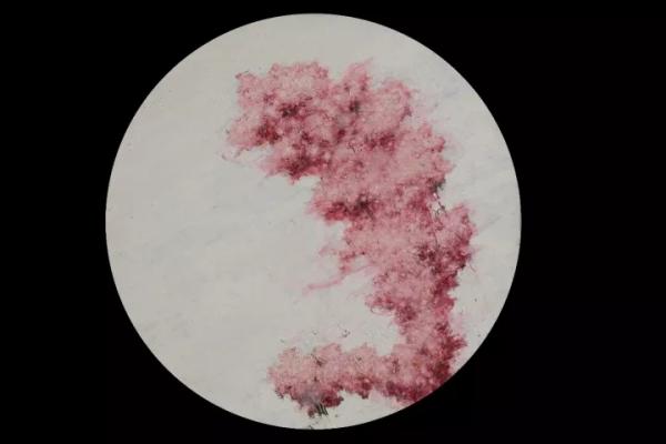 开馆双展：探索中华文脉