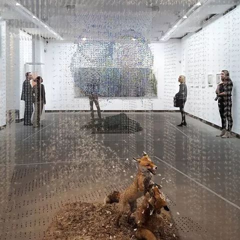 自然定格在绝对的静止之中