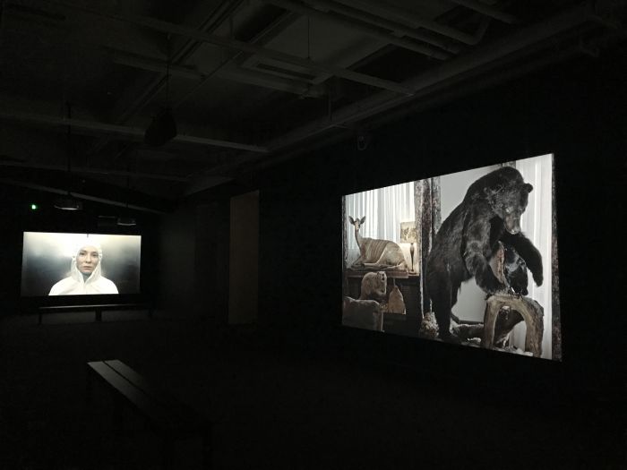 历经5年筹划！“宣言：朱利安?罗斯菲德”开展(20170921114713924)