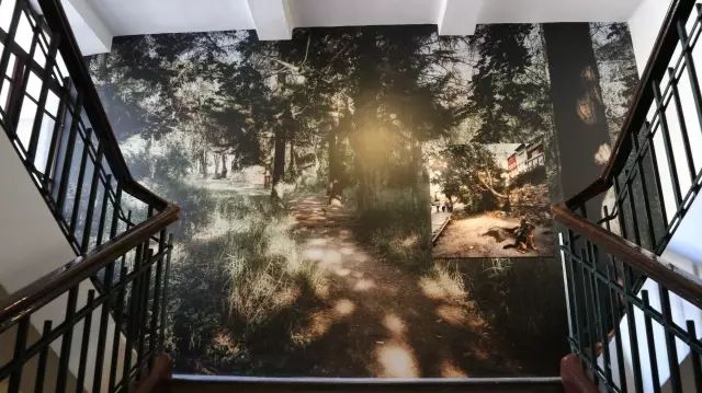 抢先看第15届伊斯坦布尔双年展：你是我的好邻居吗？(33)