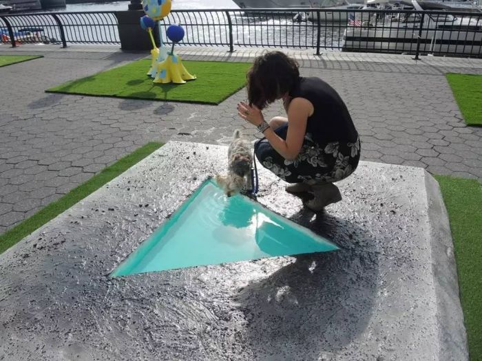 “狗狗”也能策展？