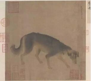 戊戌年 汪星人在哪些大展中唱主角？