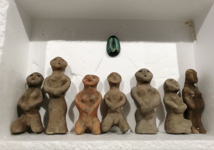 唐宋杨宽张岚芊当代艺术展在罗湖美术馆成功开幕