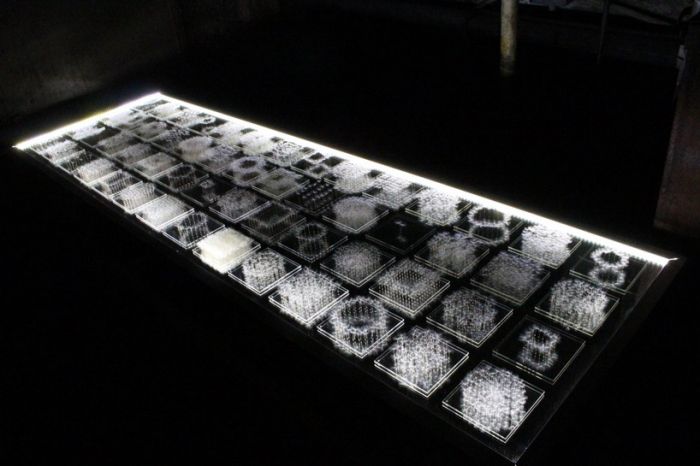 美丽而脆弱的建筑