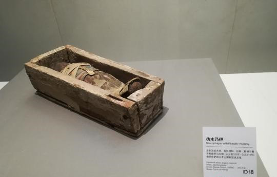 展品“伪木乃伊”