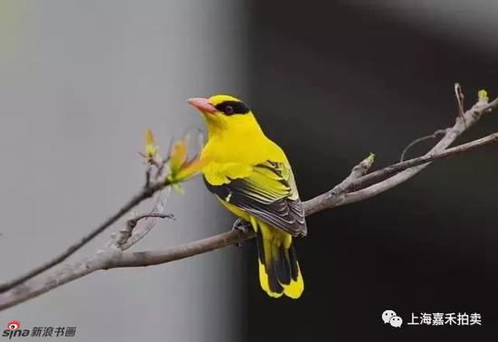 惊蛰时节｜春雷响 万物长