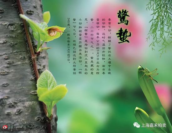 惊蛰时节｜春雷响 万物长