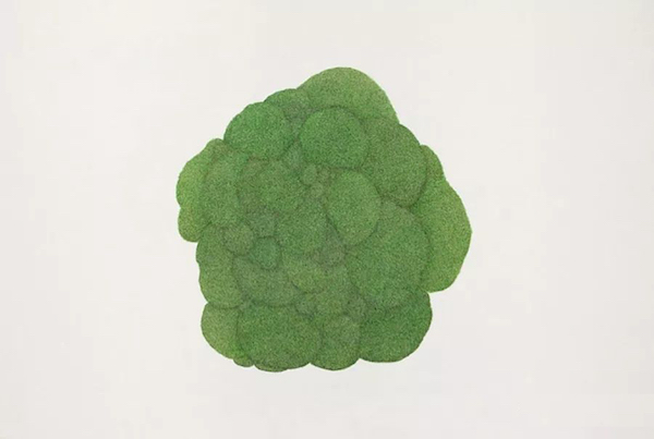 初夏莅临 我们看点啥？