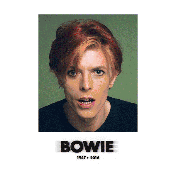 “窥探” David Bowie ：一位音乐的人的艺术私藏