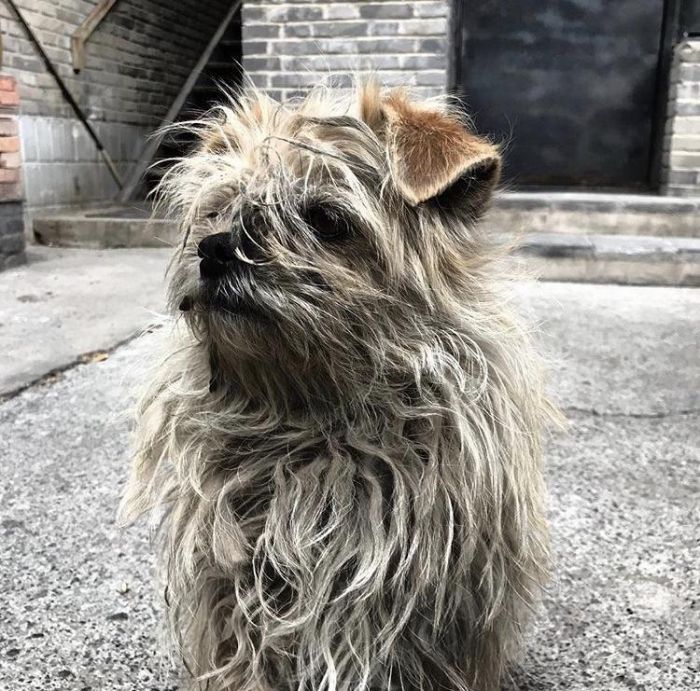 Michel镜头下的毛毛