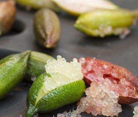 水果中的“爱马仕”