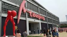 送给新手收藏家的小建议
