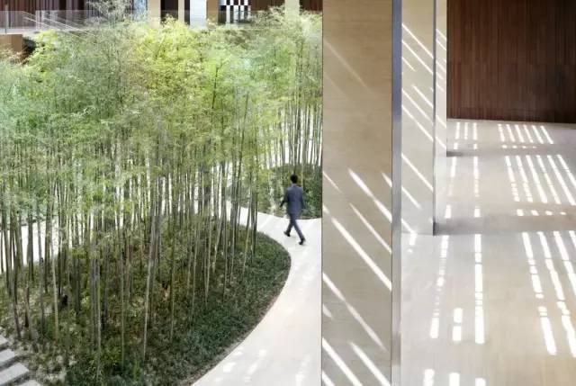 能让建筑“隐身”的大师