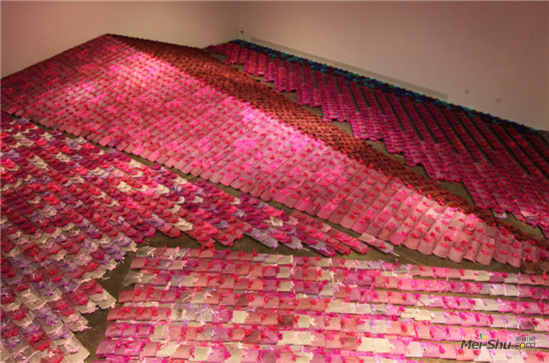 姜杰，《粉色乌托邦》瓦 丝袋 不规则 2009-2010