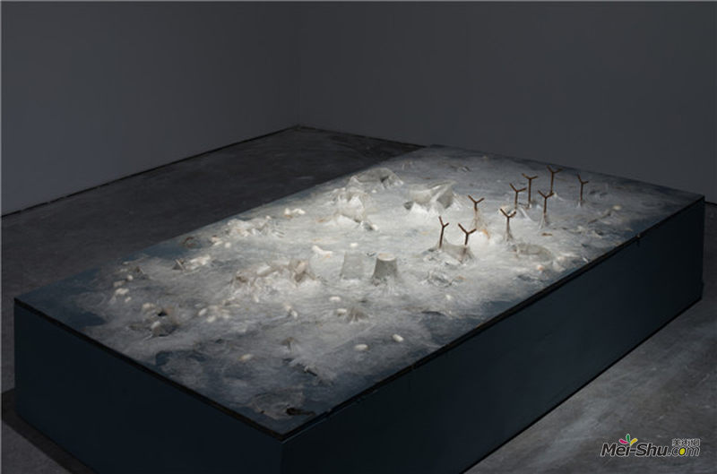 梁绍基，雪藏 No.1装置，丝, 茧, 纸杯, 塑料杯, 金属, 木板，17×122×244cm，2013 ~ 2014