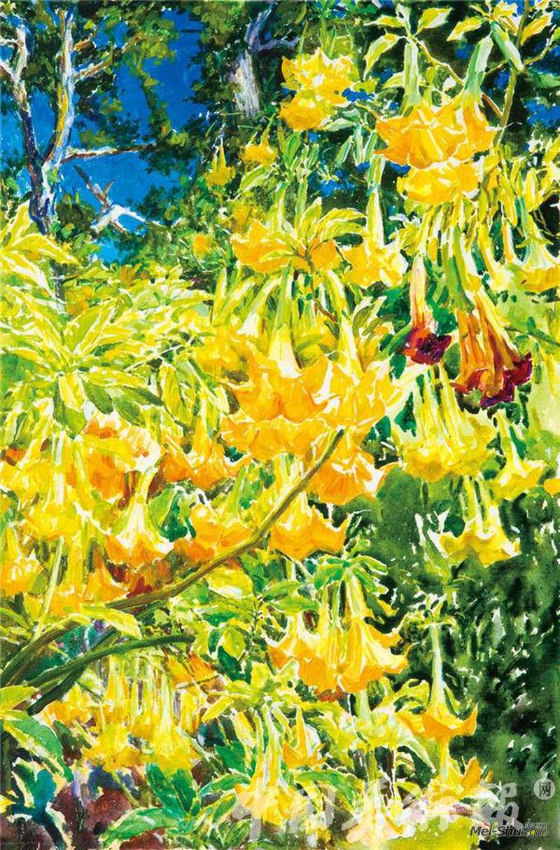 杨健健《蔓陀萝花 》12Ox80cm