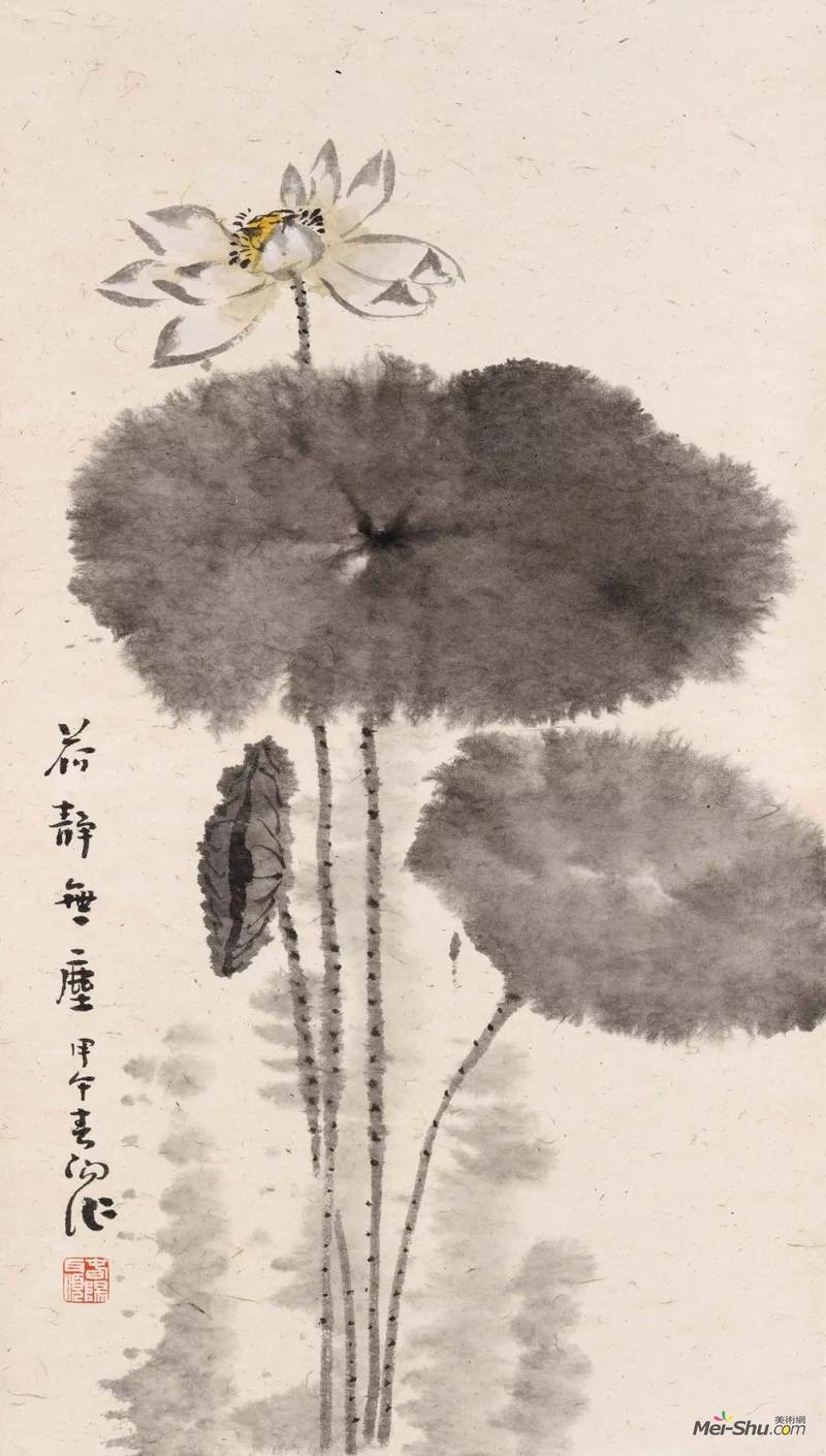 荷静无尘