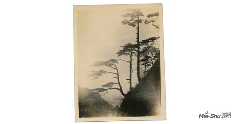 佚名，《暮霭松风》，银盐纸基，10.4×8.6cm，1950年代