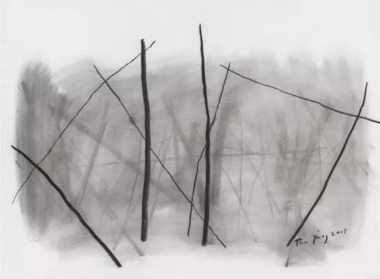 谭平《彳亍》系列作品中的素描 79x109cm 2014年 素描 木炭条