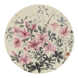 加州红杜鹃
