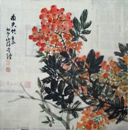 南天竺